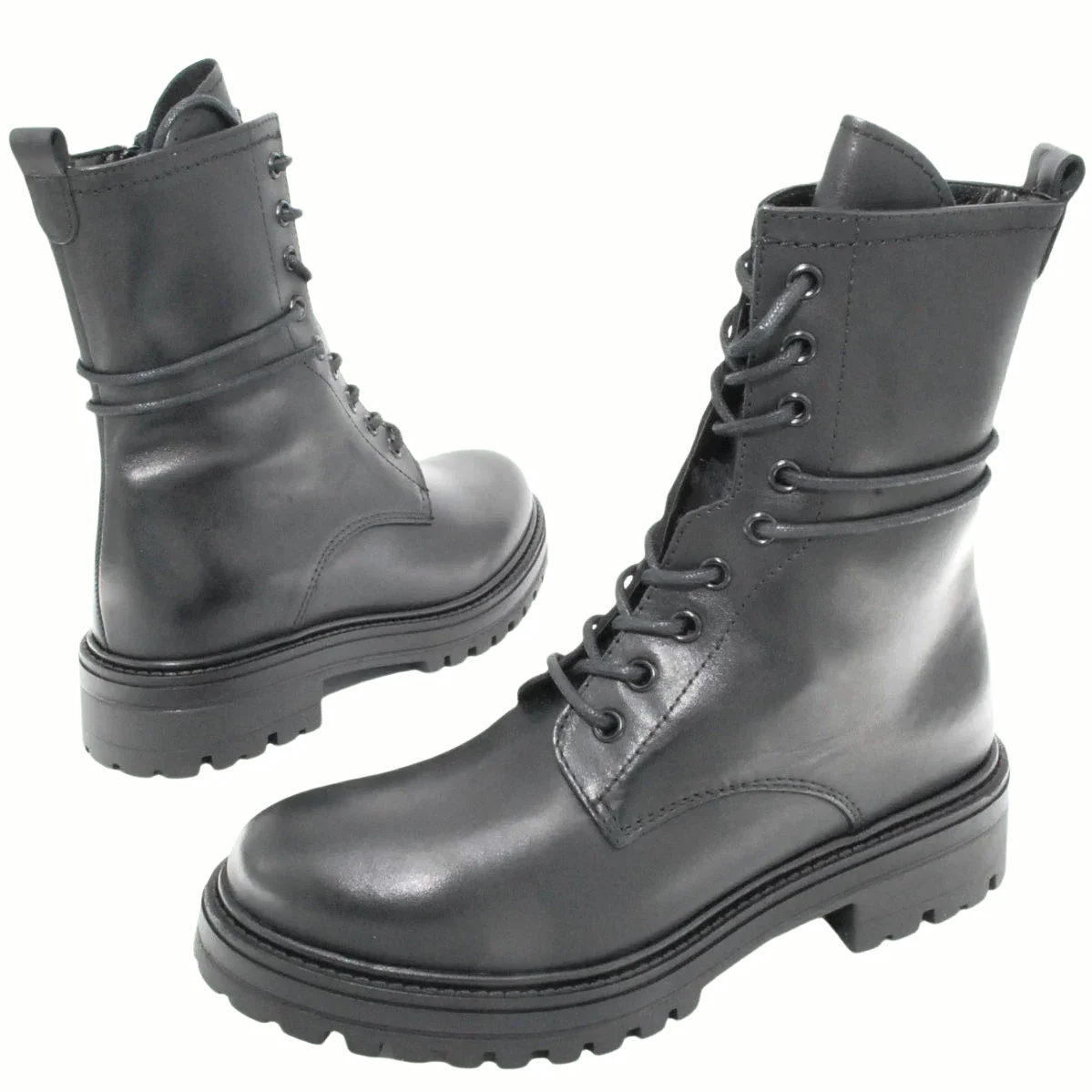 Anfibio Francesco Brunelli